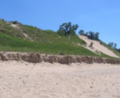 CentralBeach2010.jpg