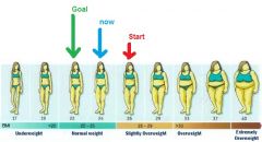 BMI2.jpg